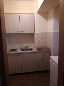 布尔泽策Apartmani Nebrigic的一个带水槽和柜台的小厨房