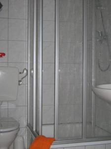 LüssowLandpension Strenz的带淋浴、卫生间和盥洗盆的浴室