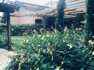 马里纳迪马萨Cocciopestorooms的建筑前的灌木,花黄色