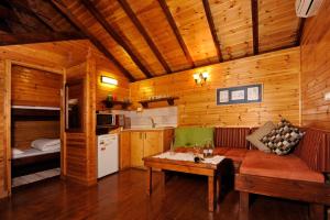 Peqi‘in H̱adasha诺阿姆巴甲里尔山林小屋的小屋内的客厅配有沙发和一张床