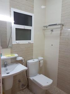 尼兹瓦Orient Apartments的一间带卫生间、水槽和窗户的浴室