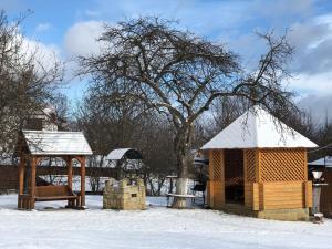 亚列姆切Shutka home spirit的雪地里的凉亭和树