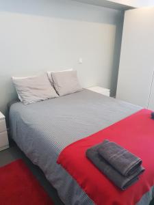 马德里WindRose 0的一间卧室配有一张带红色毯子的床