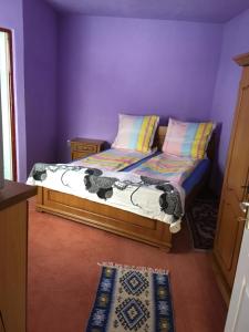 古拉勒乌卢伊Pensiunea Adelaida的紫色墙壁客房内的小床