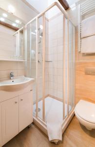 维谢格拉德洪提旅馆的带淋浴、卫生间和盥洗盆的浴室