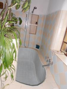 科恰班巴"Dulces Sueños"的浴室设有浴缸,旁边是植物