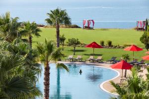 拉戈斯Cascade Wellness Resort的一座棕榈树、椅子和遮阳伞的游泳池