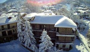 埃普塔罗弗斯Guesthouse Alexandra的一座被雪覆盖的建筑,上面有圣诞树