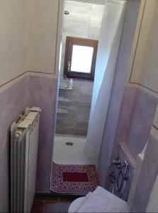 拉泰里纳La Torretta的带淋浴和卫生间的小浴室