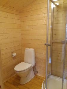 阿克雷里Bakkakot 2 - Cozy Cabins in the Woods的木制浴室设有卫生间和淋浴。