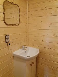 阿克雷里Bakkakot 2 - Cozy Cabins in the Woods的一间带水槽和镜子的浴室