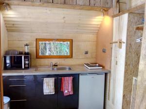 Moon-sur-ElleCabanes de moon的厨房配有水槽和微波炉