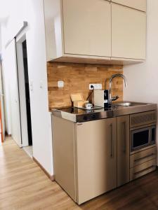 林茨LINZ bellavista Studio-Apartment Landstraße的厨房配有水槽和台面