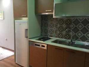 安塔利亚套房公寓的厨房配有水槽和冰箱