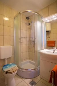 韦伯斯卡Apartment Smuljic的带淋浴、卫生间和盥洗盆的浴室
