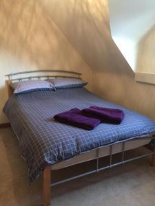 锡福德Mews Cottage的一张床上的紫色枕头