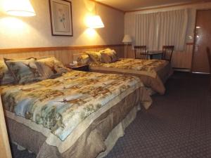 Libby卡布斯汽车旅馆的一间酒店客房,房间内设有两张床