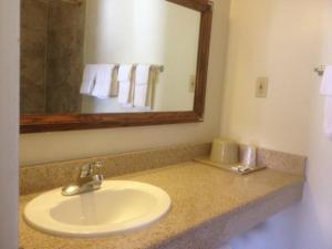 阿拉莫戈多阿拉莫戈多经济旅馆的一间带水槽和镜子的浴室