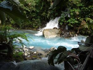 利比里亚蓝河温泉度假酒店的森林中河流中间的瀑布
