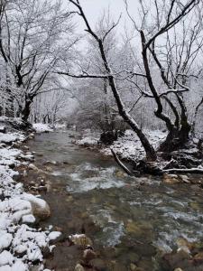 埃诺克欧拉德莱德斯公寓式酒店的树枝上积雪的小溪