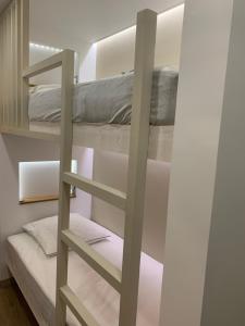 阿拉纽埃Studio des Cintes Blanques的带梯子的客房内的双层床