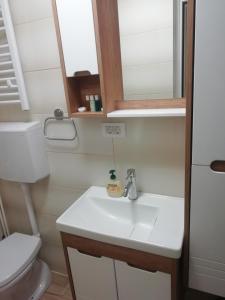 乌日策Apartman Centar 1的一间带水槽和卫生间的浴室