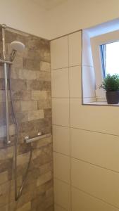 OberlangenEmsgold的带淋浴的浴室和窗户