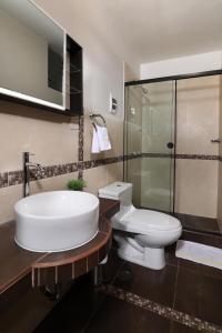 库斯科埃米利奥公寓的一间带水槽、卫生间和淋浴的浴室