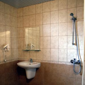 伊瓦伊洛夫格勒Armira Family Hotel的一间带水槽和淋浴的浴室
