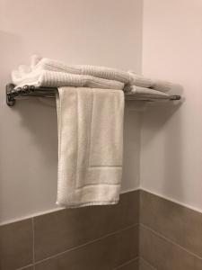 布伦Stundenhotel Krieger的浴室内备有毛巾架和3条毛巾