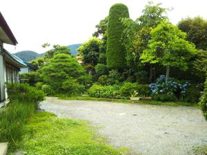 TakaiKamitakai-gun - House / Vacation STAY 12362的花园里的沙砾车道,有树木和灌木