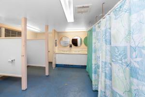 维恩亚德海文HI - 玛莎葡萄园岛旅舍的浴室配有淋浴帘和盥洗盆。