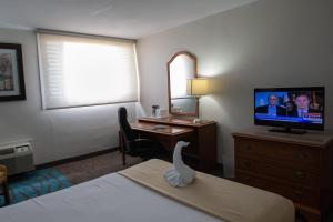 庞塞Caribe Hotel Ponce的酒店客房配有一张床、一张书桌和一台电视。