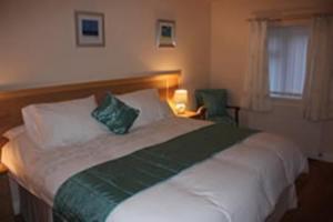 希夫纳尔安维尔旅馆的一间卧室配有一张大床和两个绿色枕头