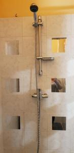 迪南Le Ty Rose的浴室内配有淋浴和头顶淋浴