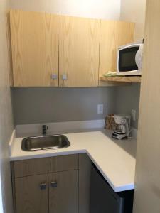 特罗皮克石峡谷旅馆的厨房柜台设有水槽和微波炉