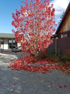 特威泽尔Rosedale Cottages的建筑物旁边一棵树,树上有红色的树叶