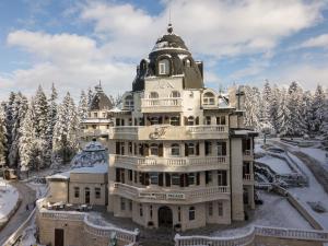 波罗维茨Festa Winter Palace Hotel的一座大雪楼,有树