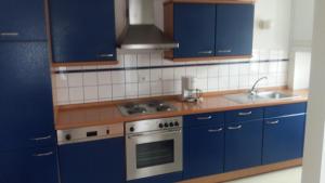 Breitenbach-Haut-RhinMaison d'Alsace的厨房配有蓝色橱柜和炉灶。