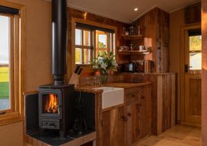 伍斯特Ashwood Shepherd Hut -Ockeridge Rural Retreats的厨房配有燃木炉和水槽