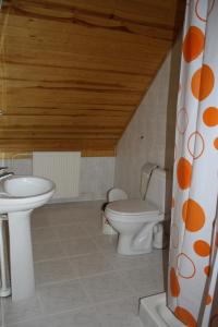 科尔卡Zīriņi的一间带卫生间和水槽的浴室