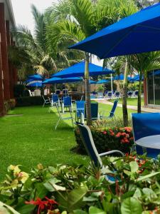 韦拉克鲁斯雅拉瓜酒店的草坪上一组椅子和蓝色伞