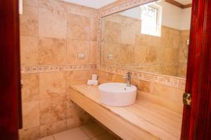 San LuisPato Canales Hotel & Resort的木制柜台上带水槽的浴室