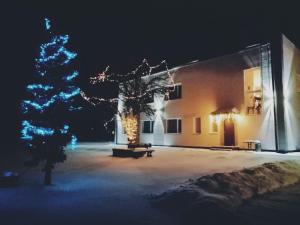 RūjienaLauvas Līcis的一座建筑,在晚上前有圣诞树