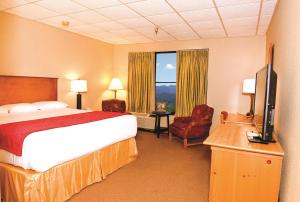 海伦尤尼科伊州立公园及旅馆的配有一张床和一台平面电视的酒店客房