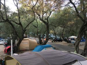 帕莱欧卡斯提撒Camping Paleokastritsa的一群在林地的停车场的帐篷