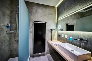 多瑙斯陶夫Posthotel Donaustauf的一间带水槽、淋浴和镜子的浴室
