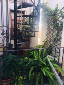 卡利亚里圣雷米住宿加早餐旅馆的一个带植物的阳台和螺旋楼梯