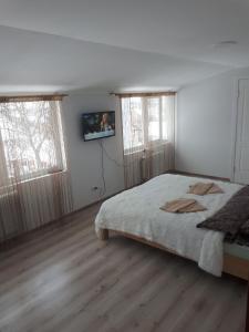 文尼察Hotel Andreevsky的一间卧室设有一张床和两个窗户。