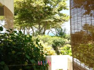 塞尔马Archondissa Beach Aparthotel的花园,花园中设有栅栏,种植了植物和树木